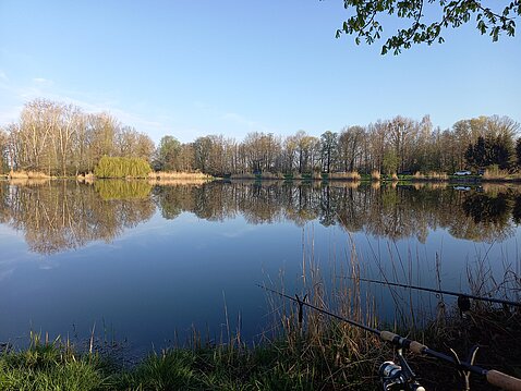 (Foto: L. Stein) (Foto: L. Stein)