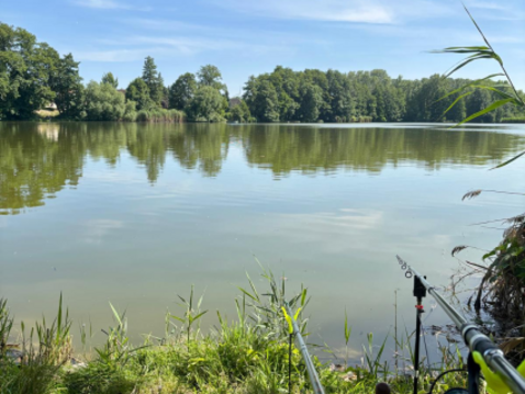 (Foto: Frank Schneider) (Foto: Frank Schneider)